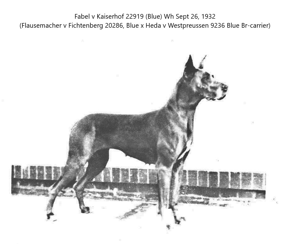 Fabel v Kaiserhof
